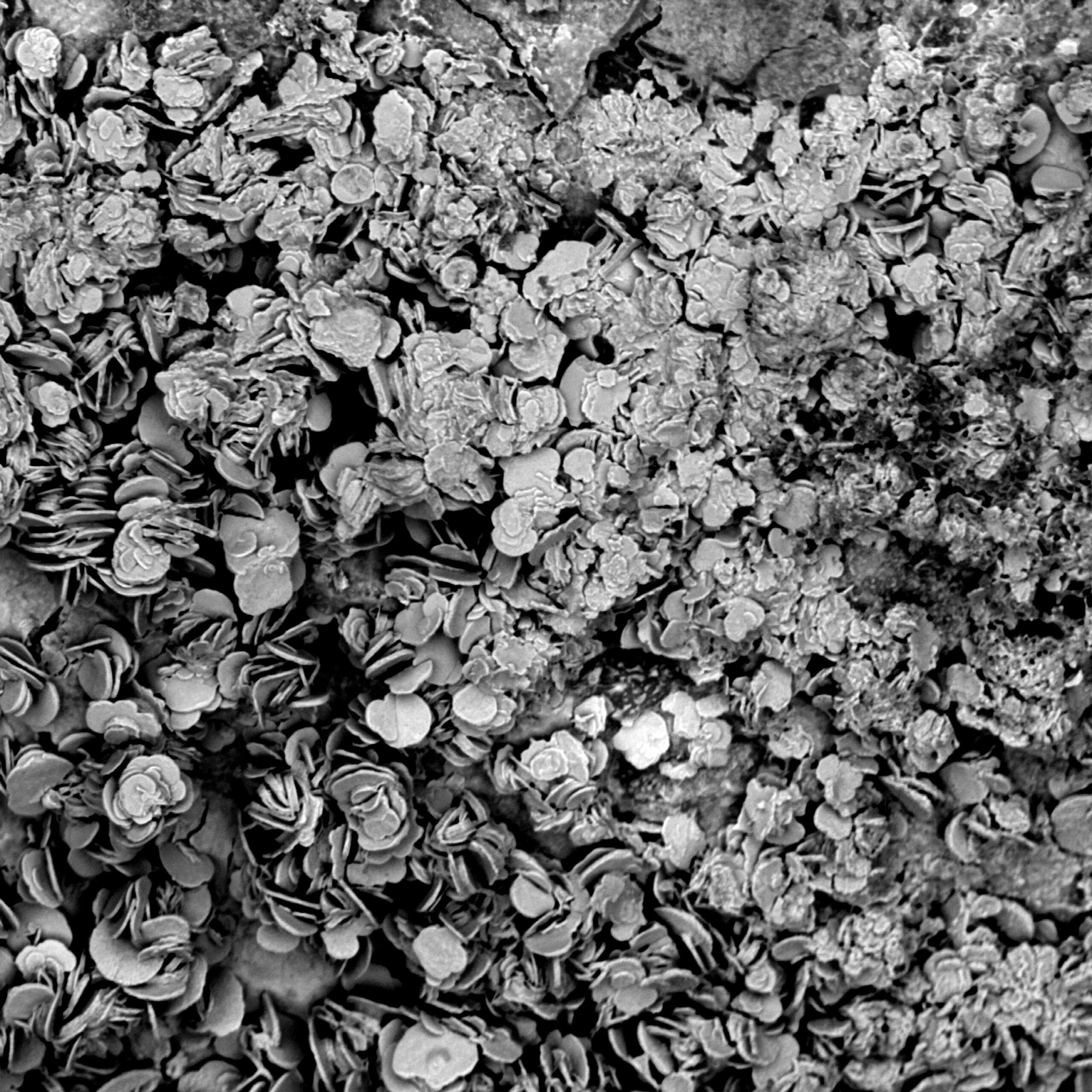 PRIXPICTET_RD_003