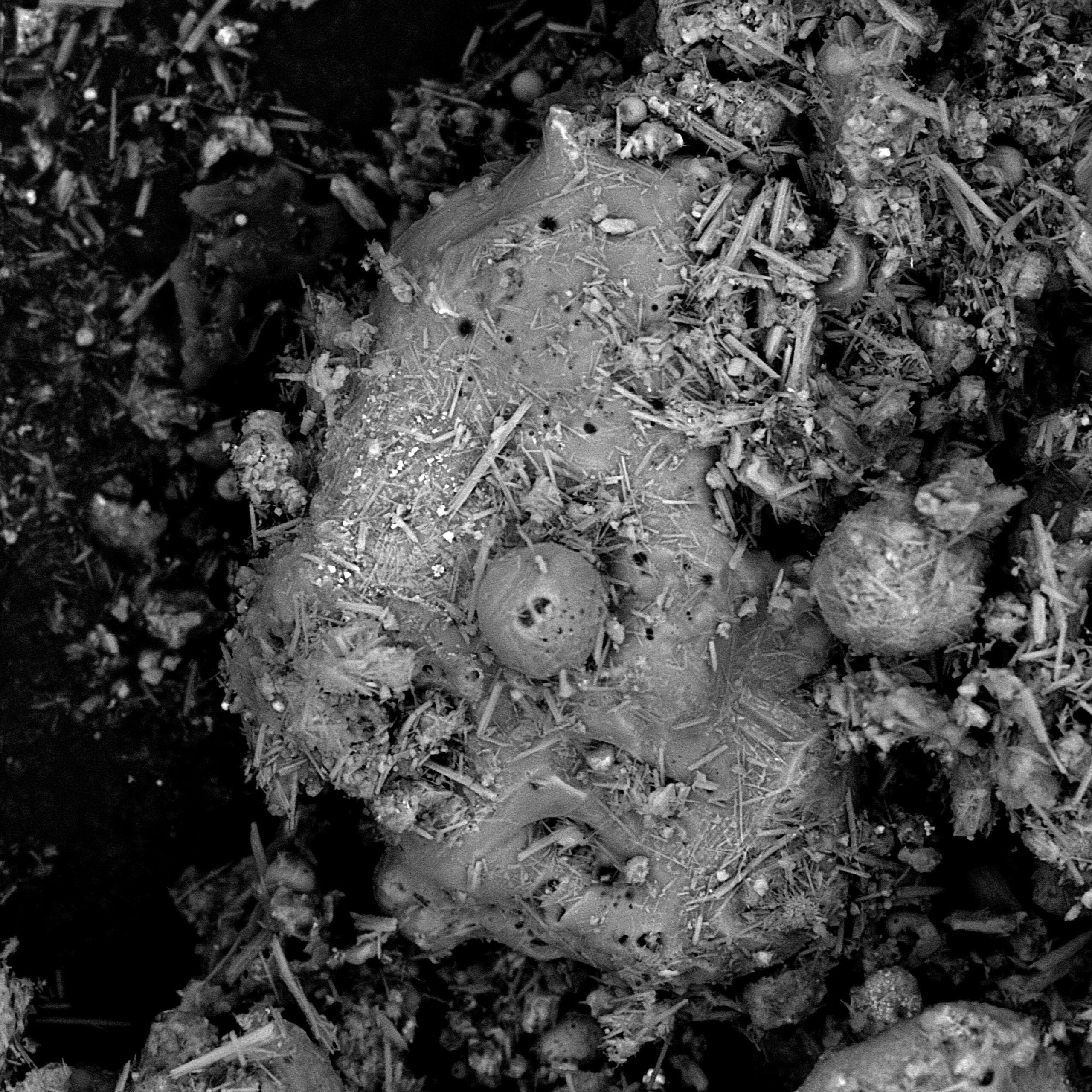 PRIXPICTET_RD_005