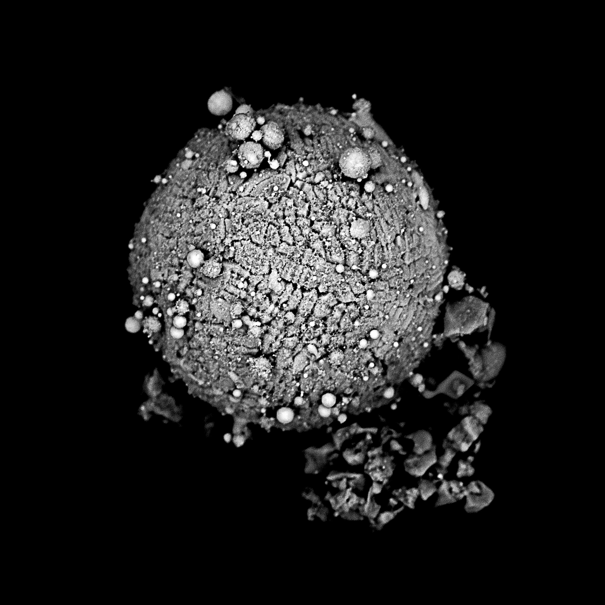 PRIXPICTET_RD_008