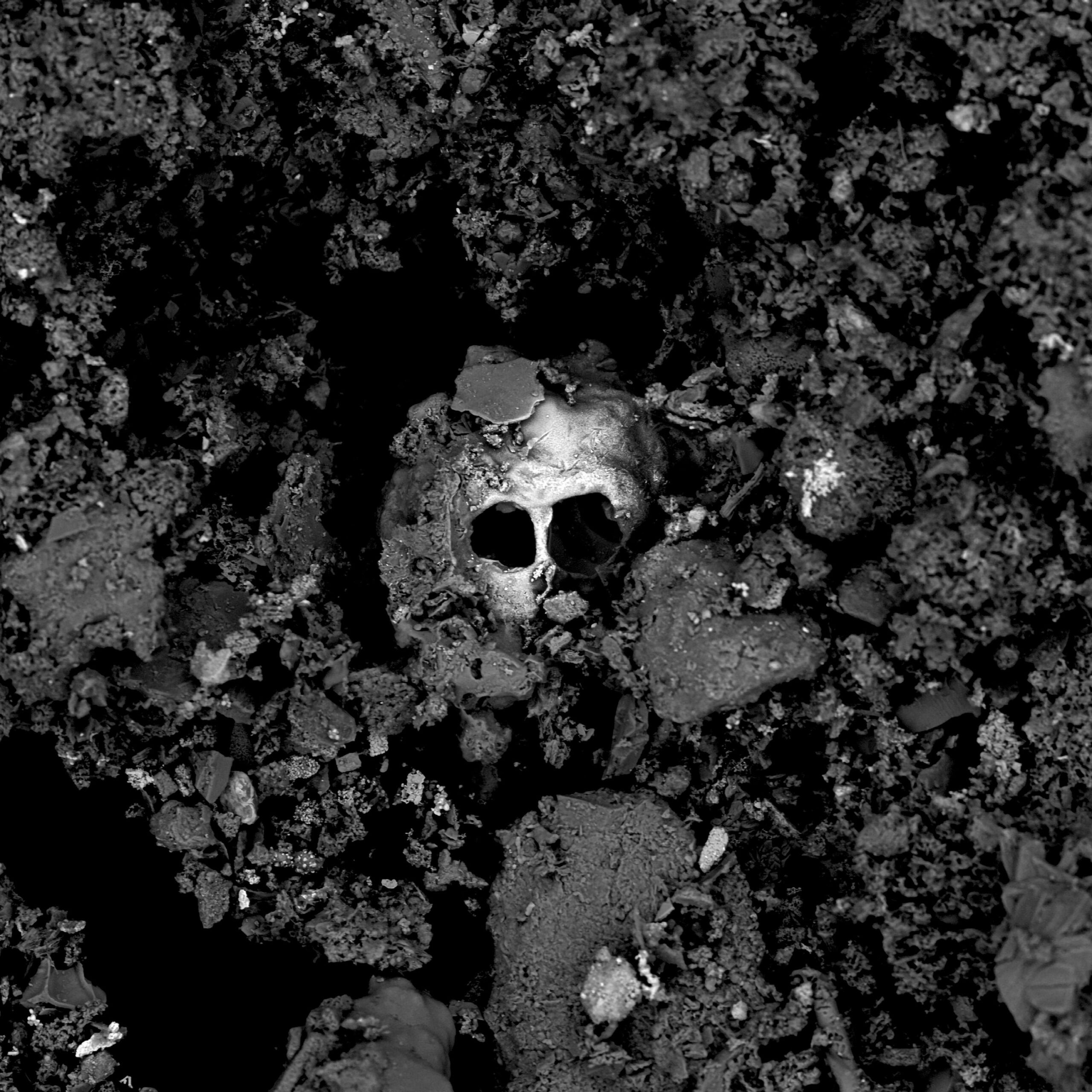 PRIXPICTET_RD_010