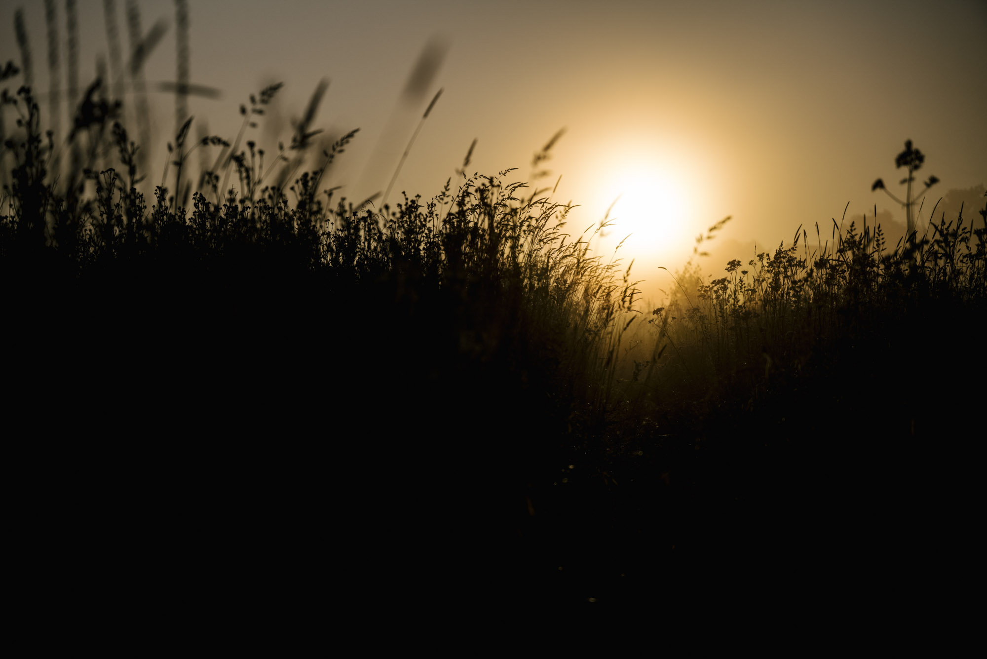 RasmusDegnbol_KSF_004_web